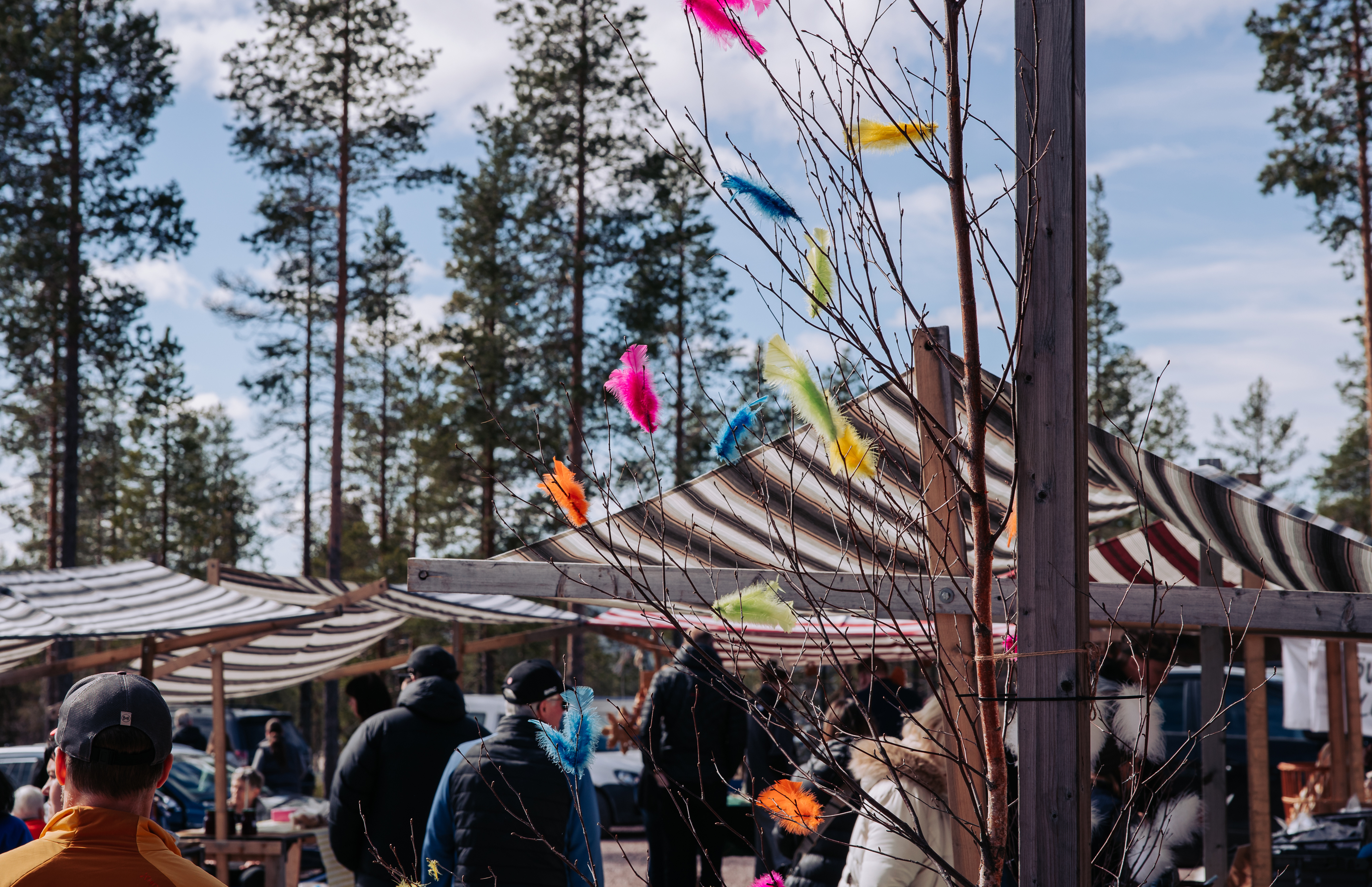 IHF_6716_250418.jpg.